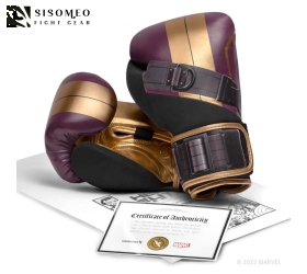 Găng Hayabusa Batroc Boxing Gloves