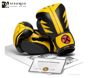 Găng Hayabusa Wolverine Boxing Gloves