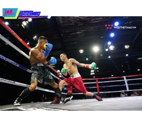 GĂNG SSM LACE UP BOXING GLOVES BLUE/YELLOW
